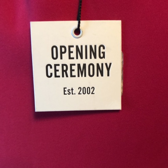 Bright Pink Opening Ceremony Dress - Picture 9 of 17